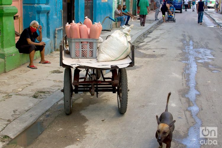 La pandemia ha afectado a economías y agravado crisis ya existentes, como en el caso de Cuba, donde el desabastecimiento cíclico de las tiendas estatales mantiene a sus habitantes a la caza constante de artículos de primera necesidad. Foto: Otmaro Rodríguez