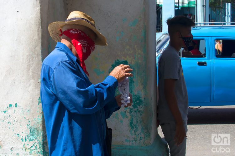 Los territorios que reportaron casos autóctonos fueron Pinar del Río, Artemisa, Sancti Spíritus y Ciego de Ávila. Foto: Otmaro Rodríguez