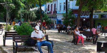 Un hombre revisa su teléfono en un parque en La Habana. Foto: Otmaro Rodríguez.