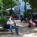 Un hombre revisa su teléfono en un parque en La Habana. Foto: Otmaro Rodríguez.