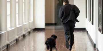 Obama corre junto a su perro Bo en el pasillo lateral a la Oficina Oval, en la Casa Blanca, durante sus años como presidente de los Estados Unidos. Foto: Pete Souza / White House / Archivo.