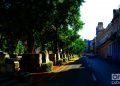 Paseo del Prado de La Habana. Foto: Otmaro Rodríguez.