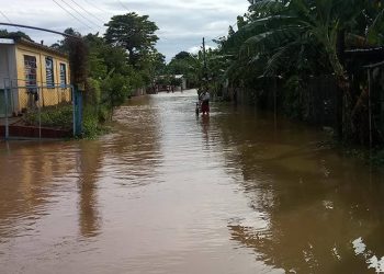 Foto: Agencia Cubana de Noticias.