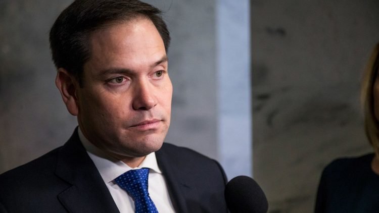 Marco Rubio reclamó el sábado, 7 de noviembre, que no se puede proclamar un presidente electo sin terminar de contar todos los votos. | CNN