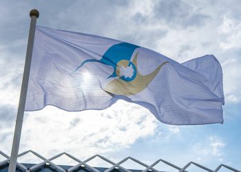 Bandera de la Unión Económica Euroasiática. Foto: sputniknews.com / Archivo.