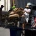 Hombres transportando madera durante el rebrote de la COVID-19 en La Habana, en enero de 2021. Foto: Otmaro Rodríguez.