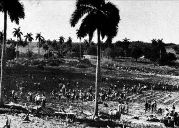 El Cordón de La Habana. Foto: Archivo.