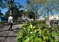 Personas en el Parque de la Fraternidad, en La Habana. Foto: Otmaro Rodríguez.