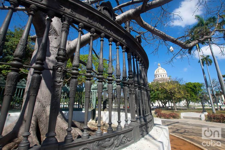 El Parque de la Fraternidad, en La Habana. Detrás, la cúpula del Capitolio Nacional. Foto: Otmaro Rodríguez.