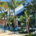 Fotografía sin fecha cedida por la Cervecería La Tropical donde se muestra el jardín tropical del local ubicado en Wynwood, el barrio más bohemio de la ciudad de Miami, Florida (EE.UU.). Foto: EFE/Cervecería La Tropical.