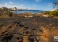 Tierra quemada en el lado este de la entrada de la bahía de La Habana. Foto: Otmaro Rodríguez.