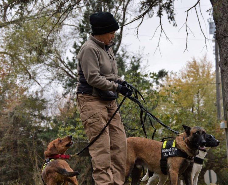 La investigadora privada Karin TarQwyn ha montado un equipo de perros rastreadores para localizar mascotas robadas. Foto: tomada de Time.