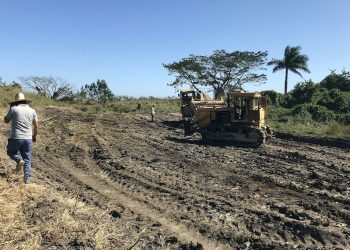 Prieto presentó este jueves en La Habana su proyecto "Viaje Infinito", con el que transformará un área salvaje del centro de Cuba en un espacio dedicado al arte, la cultura y la naturaleza en torno a una carretera en forma de ocho. Foto: Wilfredo Prieto/ Efe.