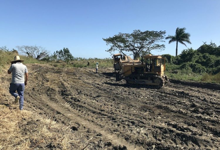 Prieto presentó este jueves en La Habana su proyecto "Viaje Infinito", con el que transformará un área salvaje del centro de Cuba en un espacio dedicado al arte, la cultura y la naturaleza en torno a una carretera en forma de ocho. Foto: Wilfredo Prieto/ Efe.