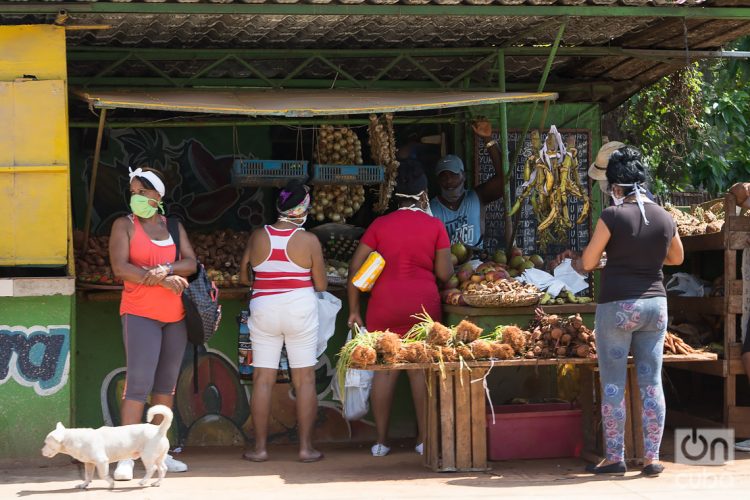 Foto: Otmaro Rodríguez