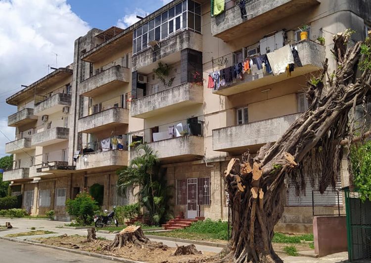 Esquina de 19 e/ 24 y 26, Vedado. Foto: Grupo Habana Verde (Facebook). Fecha: 18/04/2021.