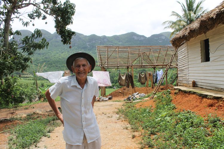 Herminio, un campesino en Viñales, Pinar del Río, que en 2017 aún trabaja las tierras que le entregaron en la reforma agraria. Foto de la autora, 2017.