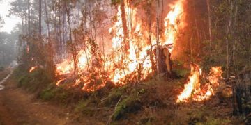 Foto de archivo de incendio forestal el oriente cubano. Foto: CITMA / venceremos.cu / Archivo.