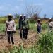 Campesinos caminan tras terminar sus labores en un cultivo de caña de azúcar en Cuba. Foto: Ernesto Mastrascusa / EFE / Archivo.