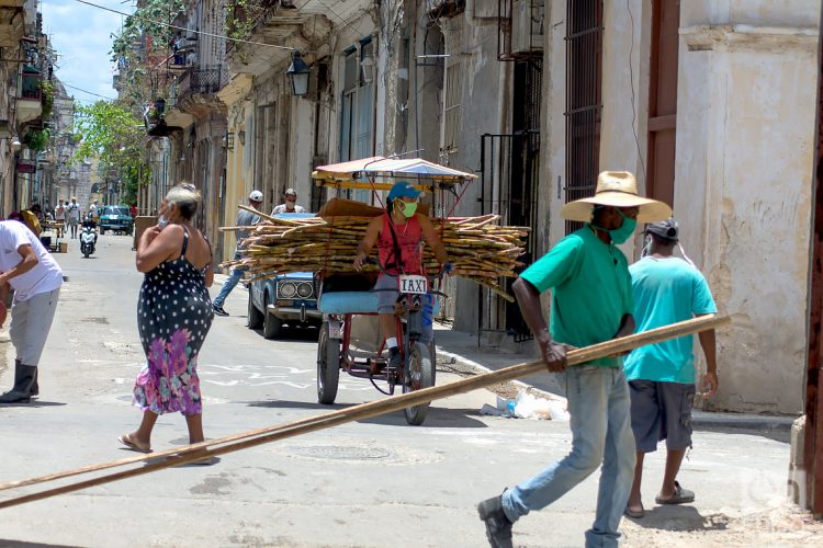 Foto: Otmaro Rodríguez.