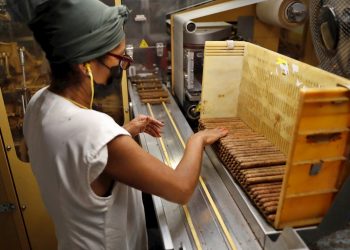 Una mujer trabaja en el proceso de producción de tabacos, en Tabacuba, hoy en La Habana (Cuba). Foto: EFE/Yander Zamora.