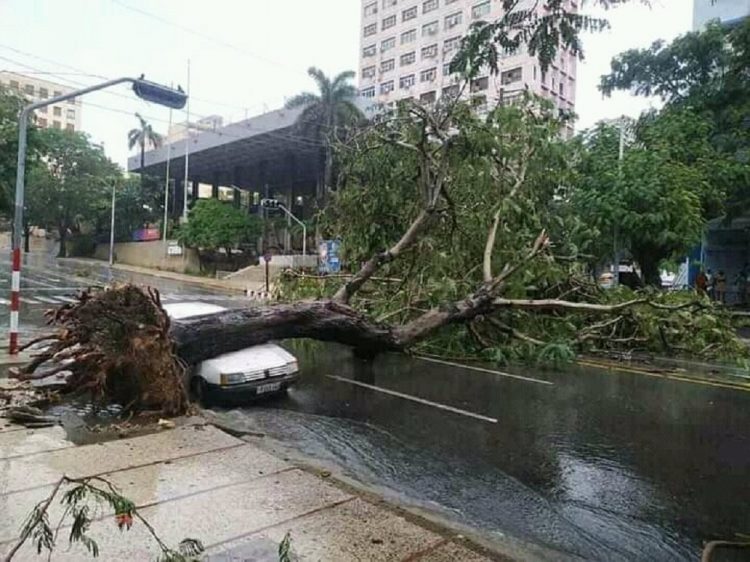 Árbol caído en 23 y N. Foto: @ldejesusreyes/ Twitter, vía:  tribuna.cu