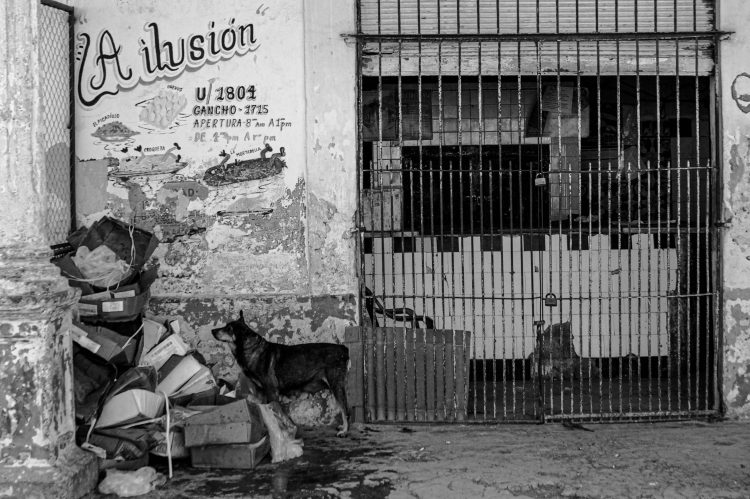 Barrio Pogolotti. Foto: Alejandro Ramírez Anderson (Gira por los barrios de Silvio Rodríguez).