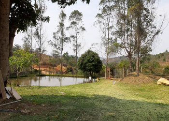Parte del “sitio” donde se encuentran las lagunas que se alimentan de agua naturalmente, ambiente de los peces y patos.