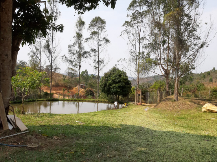 Parte del “sitio” donde se encuentran las lagunas que se alimentan de agua naturalmente, ambiente de los peces y patos.
