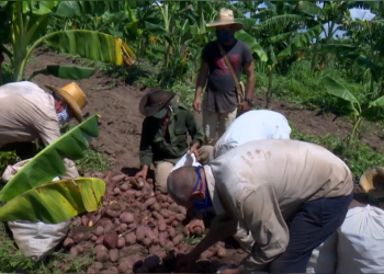 Foto: Ariguanabo TV.