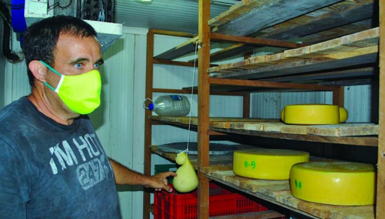 El campesino cubano Raúl Abreu, conocido como "El Rey del Queso", en su fábrica artesanal en la provincia de Artemisa. Foto: artemisadiario.cu