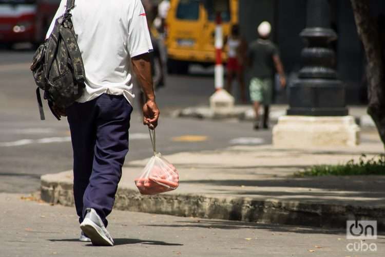 Foto: Otmaro Rodríguez