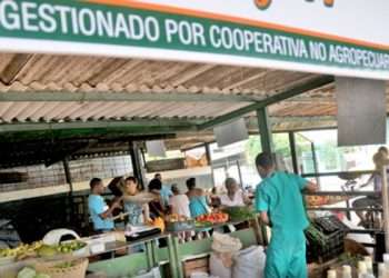 Cooperativas no agropecuarias. Agromercado 26 y 41. Foto: Cubadebate.