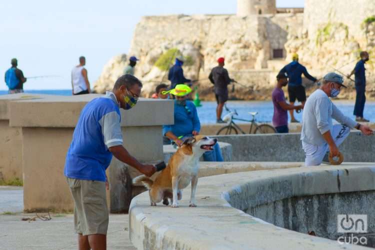 Malecón de La Habana, provincia que reportó 29 casos el lunes. Foto: Otmaro Rodríguez.