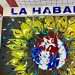Mural “Cachita ampara a todos los cubanos”, del artista cubano de la plástica Michel Mirabal. Foro: Michel Mirabal/Facebook.