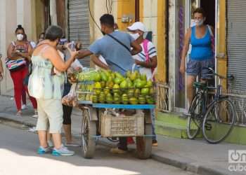 Vendedor ambulante de productos agrícolas (carretillero) en La Habana, Cuba. Foto: Otmaro Rodríguez.