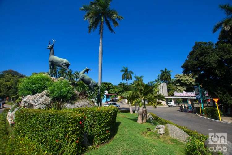 Jardín Zoológico de La Habana, más conocido como Zoológico de 26. Foto: Otmaro Rodríguez