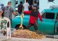 Vendedor de ajo y cebolla en La Habana, durante las fechas navideñas. Foto: Otmaro Rodríguez.