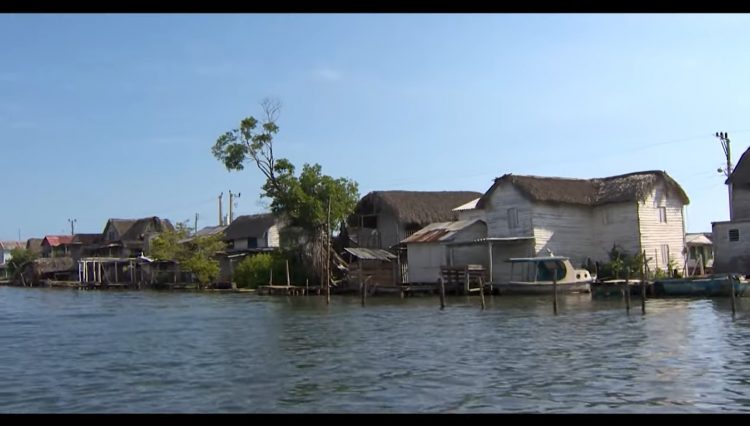 Captura de pantalla de Tarea vida de Cuba: combatiendo el cambio climático.