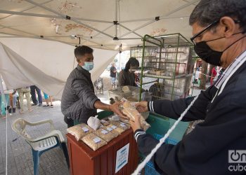 Venta de comida para animales, en la Plaza del Cristo, en La Habana. Foto: Otmaro Rodríguez.