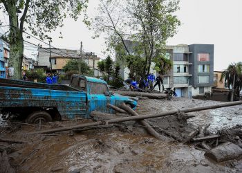 Personal policial intenta retirar un árbol caído por un alud de lodo ocurrido este lunes, que afectó algunos barrios del oeste de la capital ecuatoriana y que causó al menos una veintena de víctimas mortales. Foto: José Jácome / EFE.