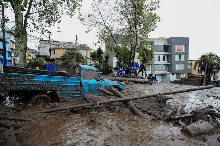 Personal policial intenta retirar un árbol caído por un alud de lodo ocurrido este lunes, que afectó algunos barrios del oeste de la capital ecuatoriana y que causó al menos una veintena de víctimas mortales. Foto: José Jácome / EFE.