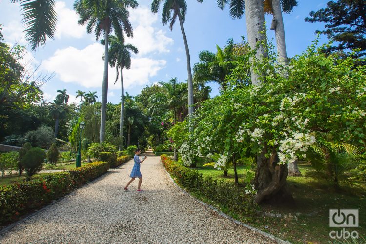 A la par de la construcción de la casa de descanso de los Capitanes Generales se fundó el Jardín Botánico de La Habana, en la Quinta de los Molinos. Foto: Otmaro Rodríguez.