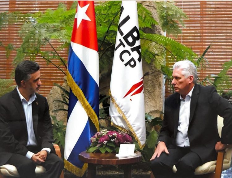 Díaz-Canel y Llorenti también conversaron sobre “las acciones trazadas para el periodo” por la Alianza y otros temas de la agenda internacional. Foto: twitter.com/SachaLlorenti