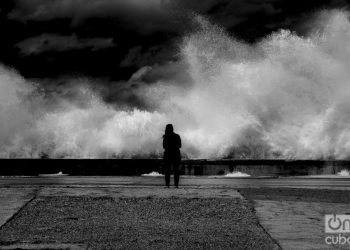 "La cura para cualquier cosa es agua salada: el sudor, las lágrimas o el mar". (Isak Dinesen). Foto: Otmaro Rodríguez