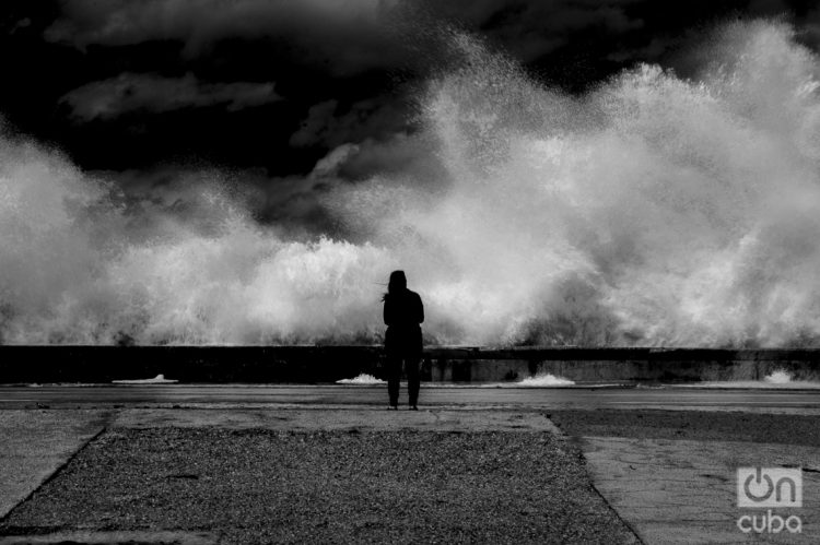 "La cura para cualquier cosa es agua salada: el sudor, las lágrimas o el mar". (Isak Dinesen). Foto: Otmaro Rodríguez