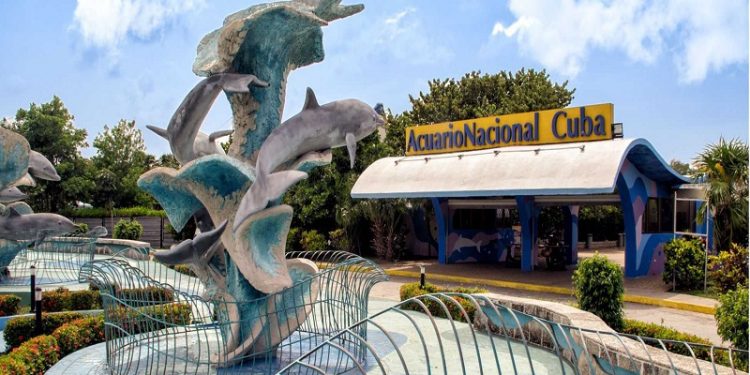 Entrada del Acuario Nacional de Cuba. Foto: Radio COCO / Archivo.