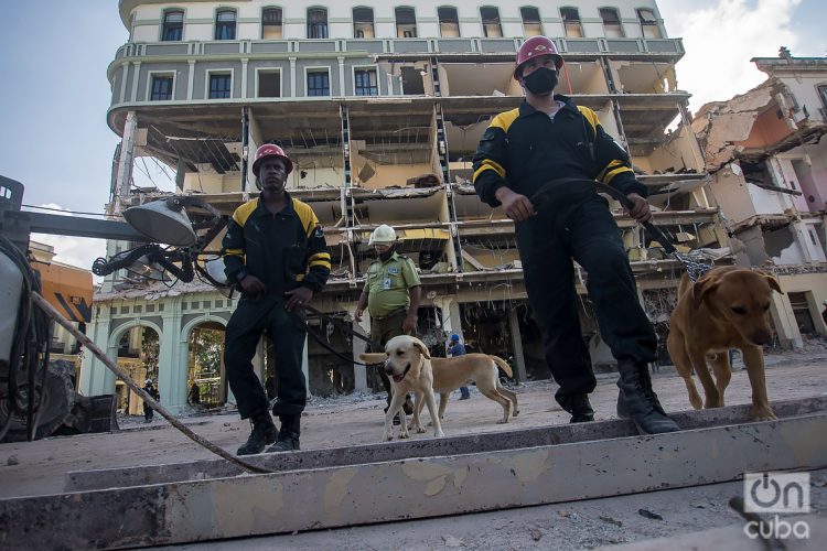 Rescatistas junto a sus perros frente al hotel Saratoga, en La Habana, durante los trabajos de búsqueda y rescate en el lugar. Foto: Otmaro Rodríguez.