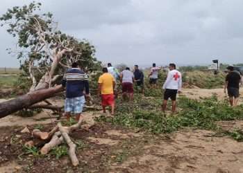 Personas y miembros de la Cruz Roja retiran árboles caídos de la carretera debido a las afectaciones por el paso del ciclón Agatha, en la comunidad de Agua blanca en el estado mexicano de Oaxaca. Foto: Daniel Ricardez / EFE.