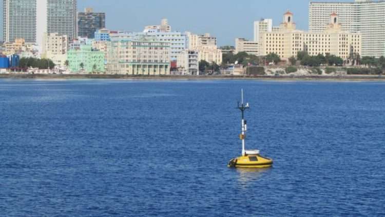 Foto: Geocuba Estudios Marinos.